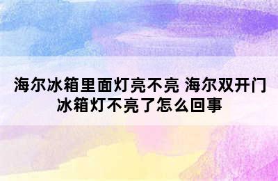 海尔冰箱里面灯亮不亮 海尔双开门冰箱灯不亮了怎么回事